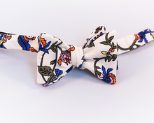 Beige With Pink And Blue Floral Cotton Sateen Bow Tie-Butterfly