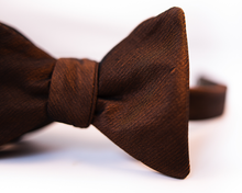 Orange & Black Iridescent Solid Polyester Bow Tie-Butterfly